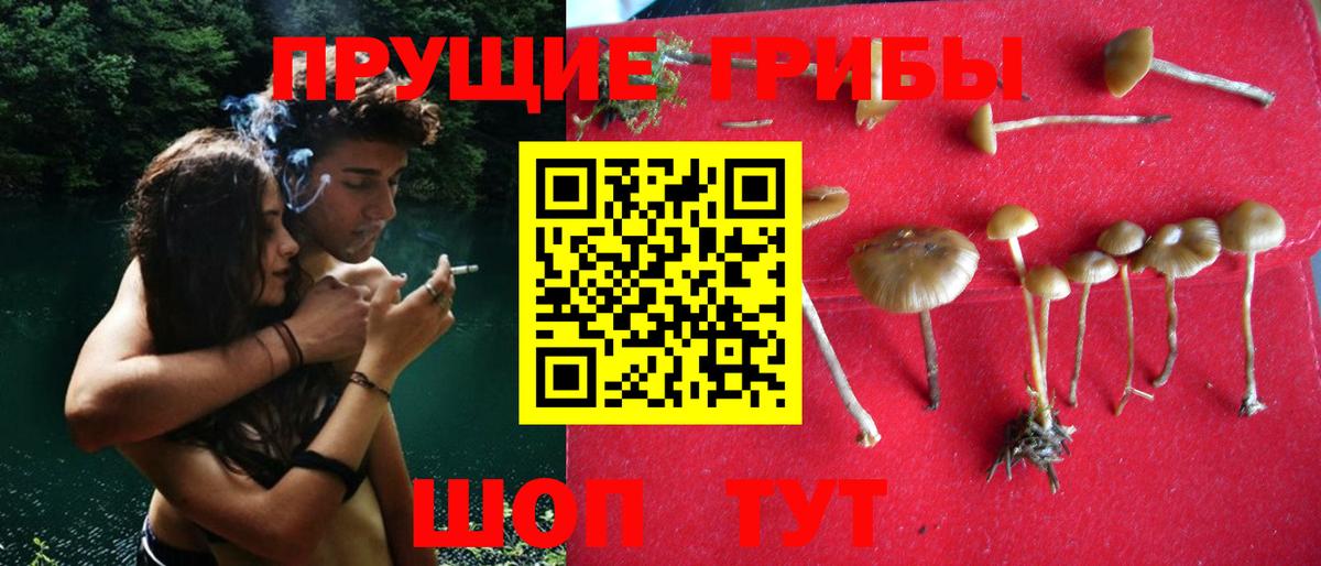 Нефтеюганск  Псилоцибиновые грибы мицелий  Галлюциногенные грибы Magic Shrooms  Вход с VPN 